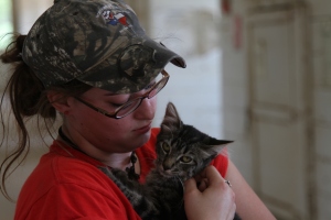 Kiley Hall examines Camp Carter Equestrian Center's remaining kitten, Dolly, on August 31, 2013. Hall believes Dolly's siblings fell prey to coyotes after drought killed the wild rabbit and rodent population.